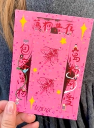 IZZIEASY丨2025年mini春联贴纸