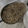 田基黄 地耳草 黄花草雀舌草 新鲜自然 商品缩略图3