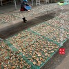 【闹妈海鲜】舟山名小吃糖醋熏鱼马鲛鱼 荣获第五届特等奖 251g/包 商品缩略图1