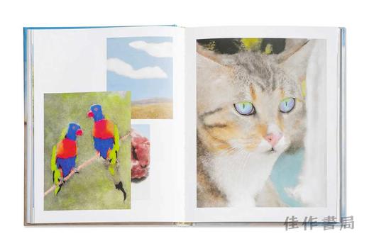 Promise Land / 应许之地 商品图1