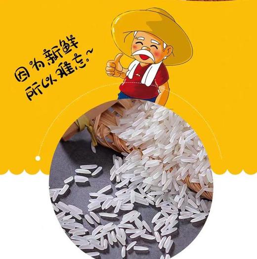 聚福源荔珠丝苗米 5kg/袋 商品图1