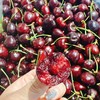 智利桑缇娜XL车厘子 | 进口水果 商品缩略图0