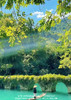 【年味贵州】 双动豪华纯玩团5日 商品缩略图1