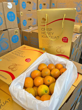 【脆蜜金柑金砖系列】口感巅峰状态，一口爆汁，化渣很好，风味很足