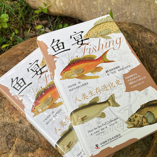 鱼宴：人类生存进化史 国家地理学会、《大英百科全书》专业顾问力作，89张珍贵插图，看吃鱼如何改变世界 商品图5