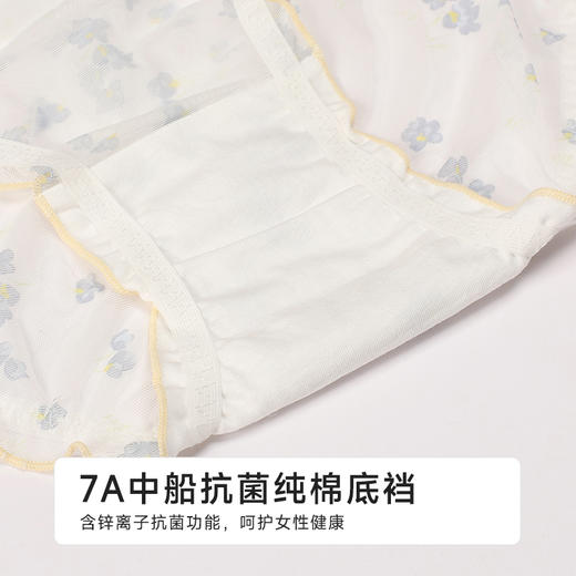 都市丽人蕾丝网布系列蕾丝薄透丝滑三角裤LKH3A7 商品图7