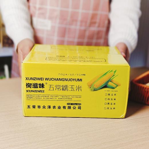 【询滋味】五常白糯玉米 110天生长期的玉米 鲜甜香糯 粒粒饱满 复购单品 商品图3