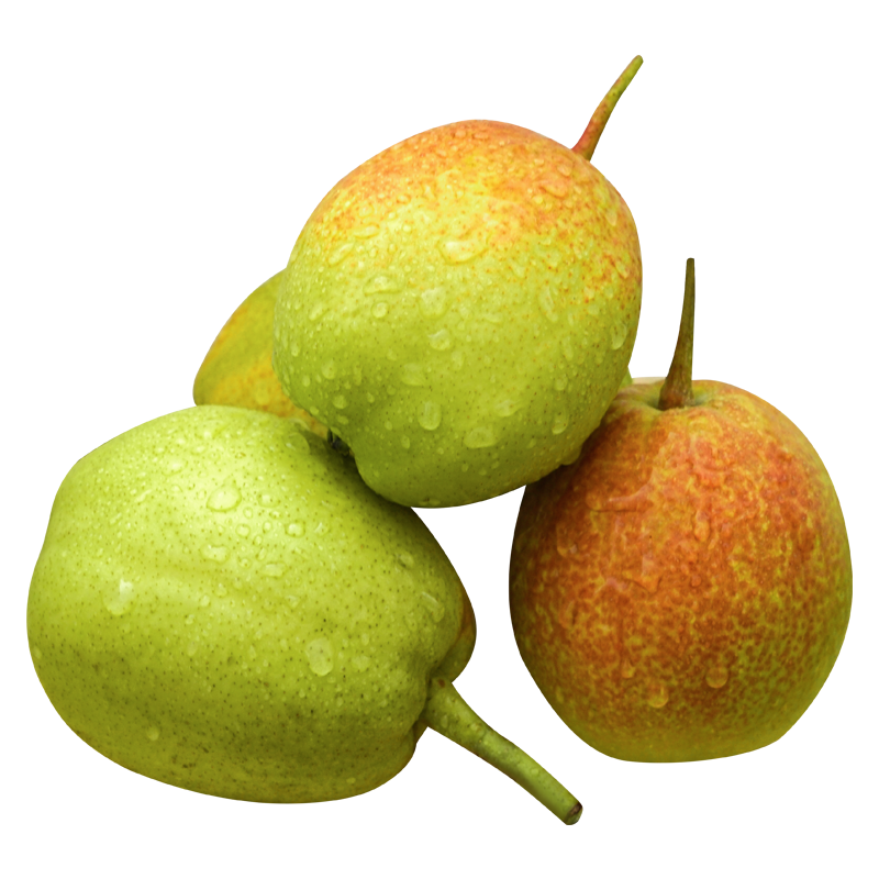 【库尔勒】香梨2500g