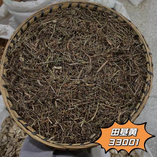 田基黄 地耳草 黄花草雀舌草 新鲜自然 商品图0