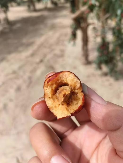 有机冬月吊干枣 生态种植 500g/袋 有机认证 商品图5