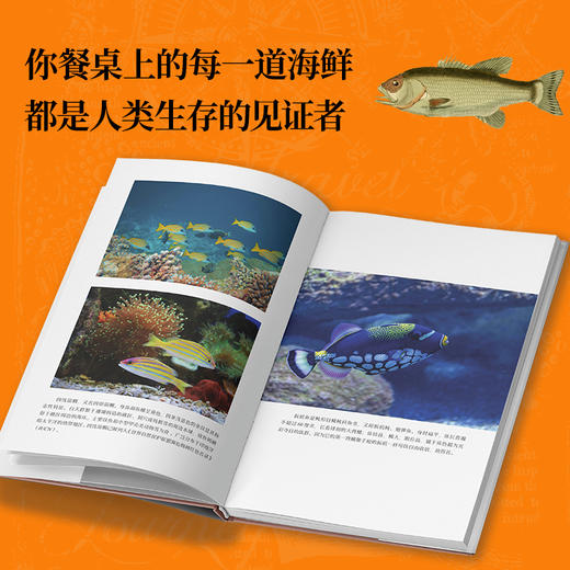 鱼宴：人类生存进化史 国家地理学会、《大英百科全书》专业顾问力作，89张珍贵插图，看吃鱼如何改变世界 商品图4