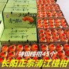 清江椪柑 酸甜口感  汁多味浓 果肉细嫩 颗粒饱满 带箱14斤/12斤装 商品缩略图1