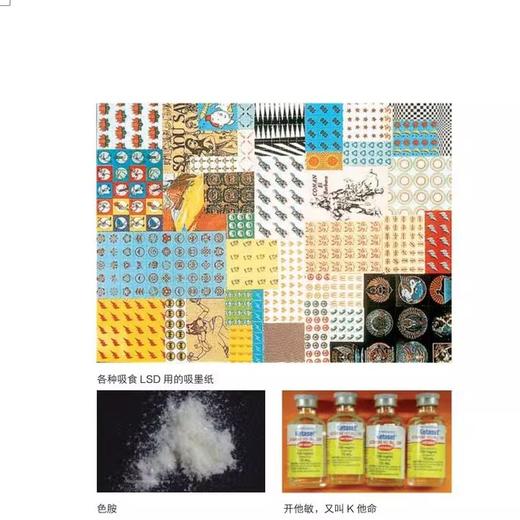 致命药瘾:让人沉迷的食品和药物  新知文库精选 商品图4