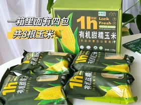 XLJ有机甜糯玉米1箱（220g/穗*8穗）