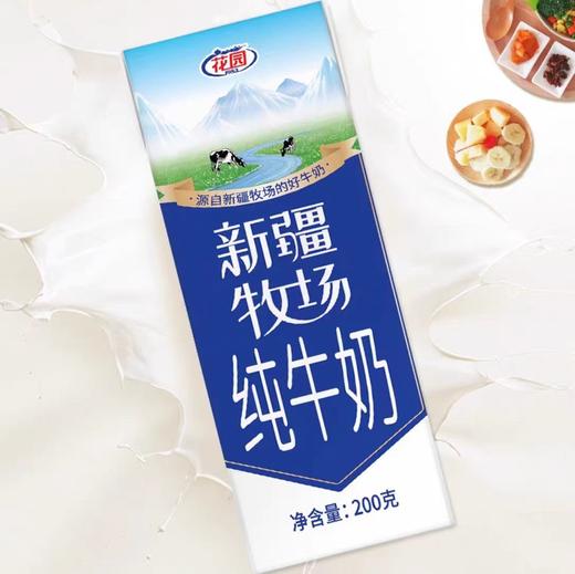 花园新疆牧场纯牛奶200g*10盒 商品图1