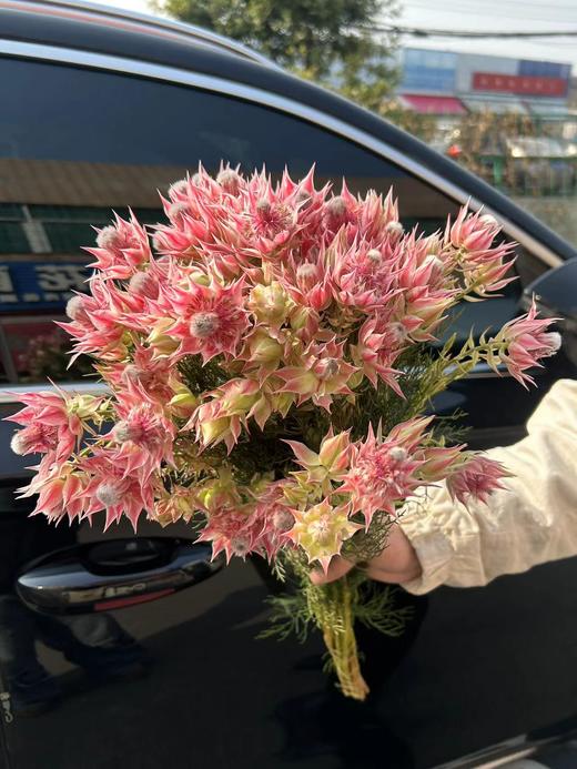 同城甄选精品花材新娘花鲜切花一扎 商品图0