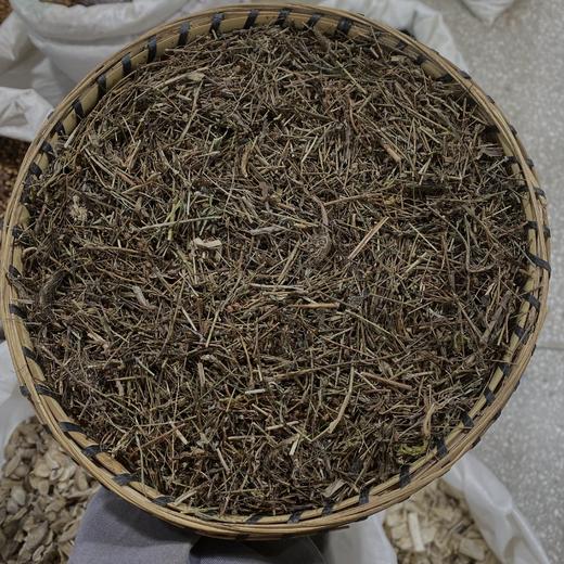 田基黄 地耳草 黄花草雀舌草 新鲜自然 商品图1