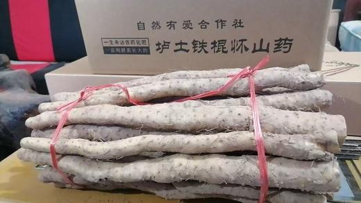 焦作正宗垆土山药，太行山野生种植，392项无农残。5斤/箱（有机标上） 商品图6