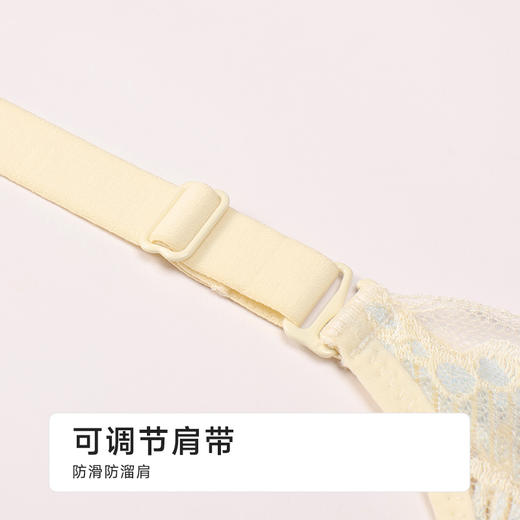 都市丽人内衣A:中厚BC:薄蕾丝凉感树脂胶圈小薄荷常规文胸LBH2B1 商品图7