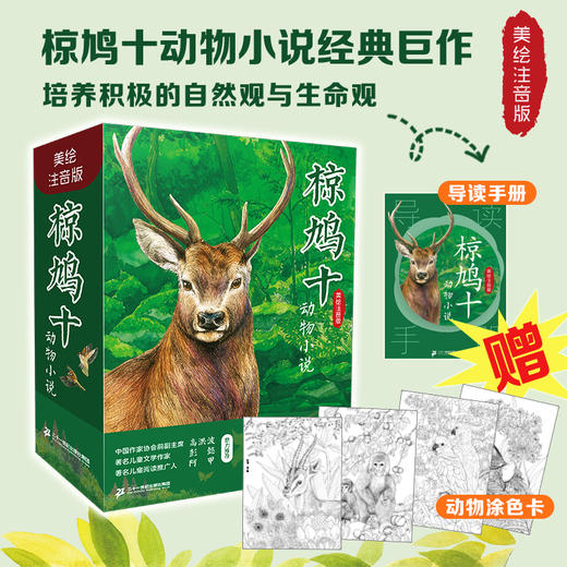 椋鸠十动物小说（美绘注音版） 商品图1