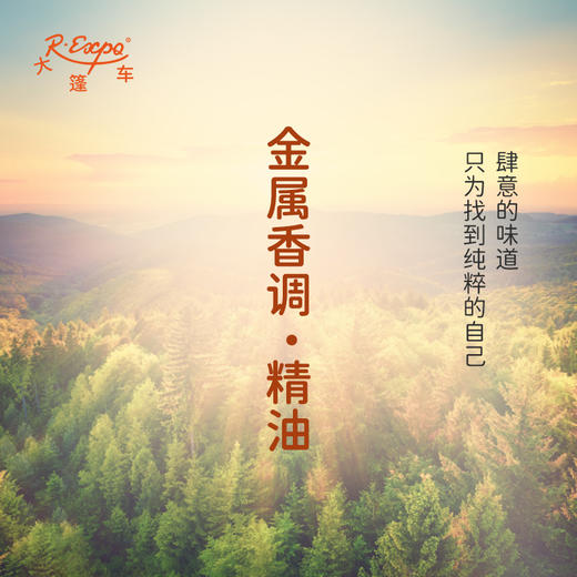 金属香调·精油 香氛香调精油适用香水油护肤品护体香 大篷车精油 商品图1