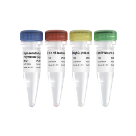 High-sensitivity Bst III DNA Polymerase (Glycerol-free)