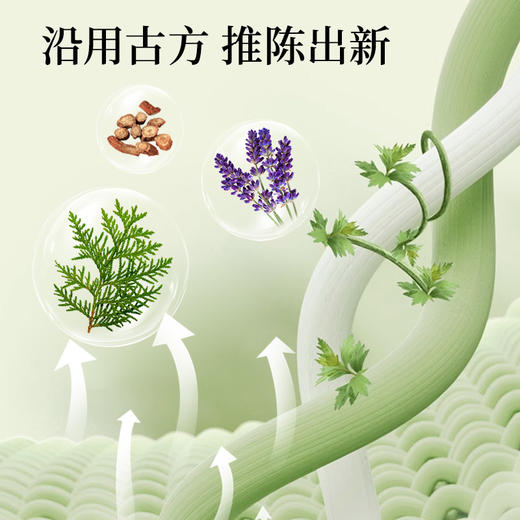 雷允上艾绒柏子壳枕1个 商品图2