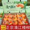 清江椪柑 酸甜口感  汁多味浓 果肉细嫩 颗粒饱满 带箱14斤/12斤装 商品缩略图0