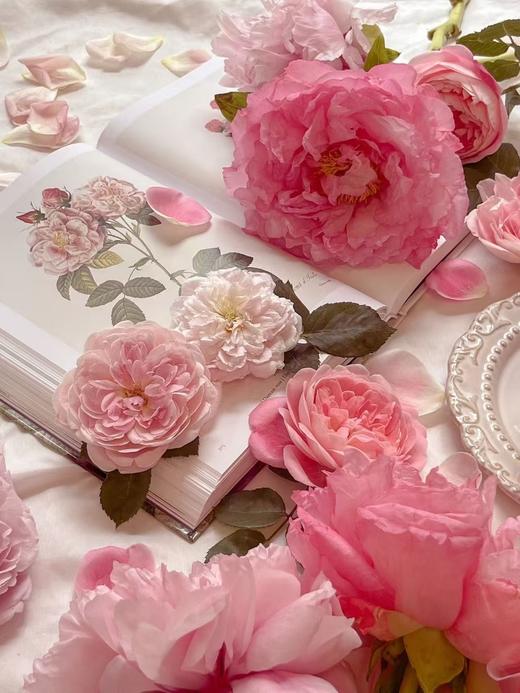 越南原香阿玛N苏州牡丹香水 商品图7