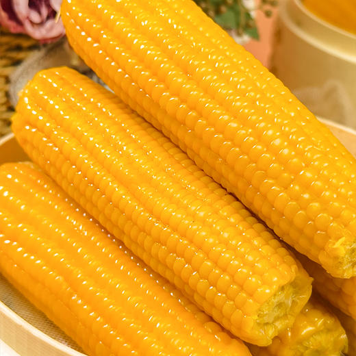 【礼盒】【2025新玉米】溢田金丝燕有机小园甜糯玉米（200g*10）【买1送 1】 商品图4