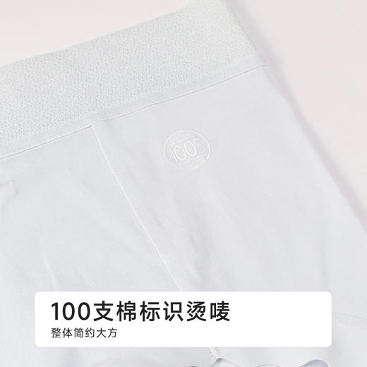 都市丽人纯棉100支棉舒肤棉双百系列平角裤LKH5B9 商品图8