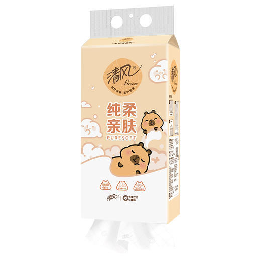 【官方自营】清风挂抽4层250抽10提送挂钩卡皮巴拉小黄豚联名款 商品图8