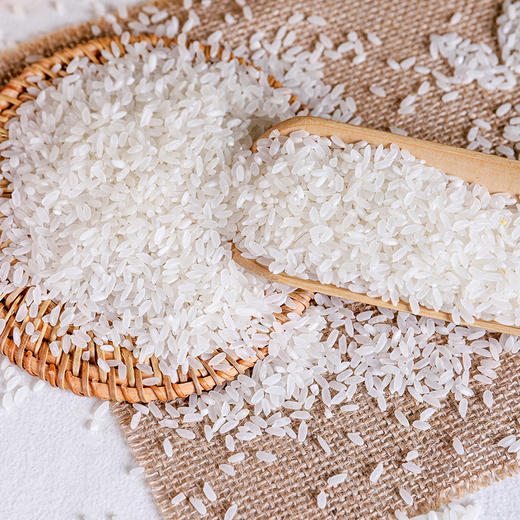 「5斤装！五常长粒香米」新米东北大米真空五斤产地直发五常大米 粮油米面 商品图4