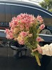 同城甄选精品花材新娘花鲜切花一扎 商品缩略图1