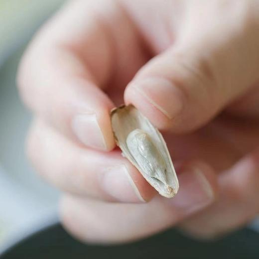 【蒙乔原味瓜子】至尊宝瓜子单颗2.6公分与臻品袋装瓜子大粒葵花籽炒货 绿色地标非遗名特优新农产品 商品图2