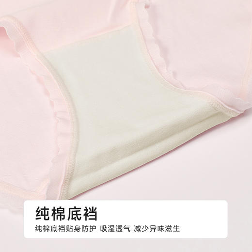 都市丽人纯棉系列50支棉舒肤棉平角裤LKH5A8 商品图7