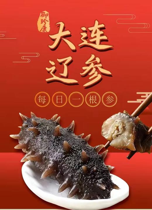 【海参卡】一天一根海参强身健体 30根海参 意向金 商品图0