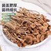 塞翁福茶树菇150g 商品缩略图1