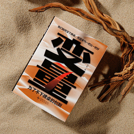 变量7：为了不下牌桌的创新（著名经济学者何帆年度力作/记录我们不肯服输的2024年） 商品图3