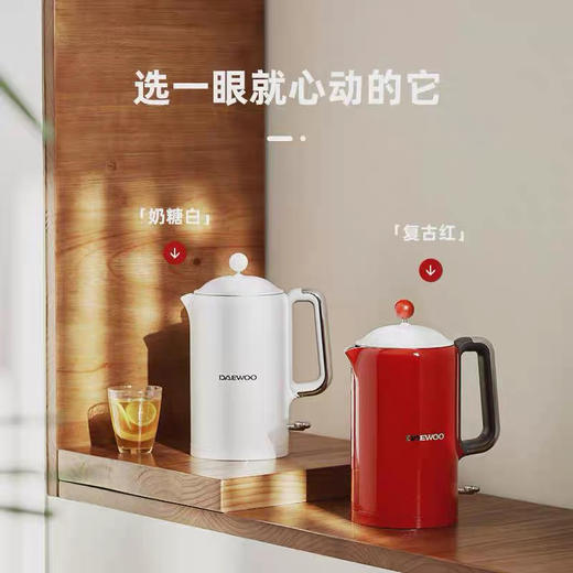 大宇电热水壶恒温热水壶家用烧水壶全自动保温一体不锈钢大容量 商品图0