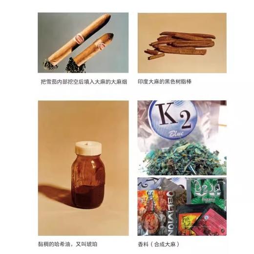 致命药瘾:让人沉迷的食品和药物  新知文库精选 商品图2