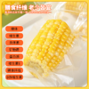 闪鲜猩球云南高原甜玉米健康早餐饱腹玉米段粗粮黄金玉米段1kg装 商品缩略图3