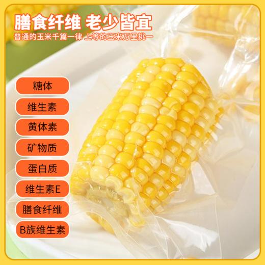 闪鲜猩球云南高原甜玉米健康早餐饱腹玉米段粗粮黄金玉米段1kg装 商品图3