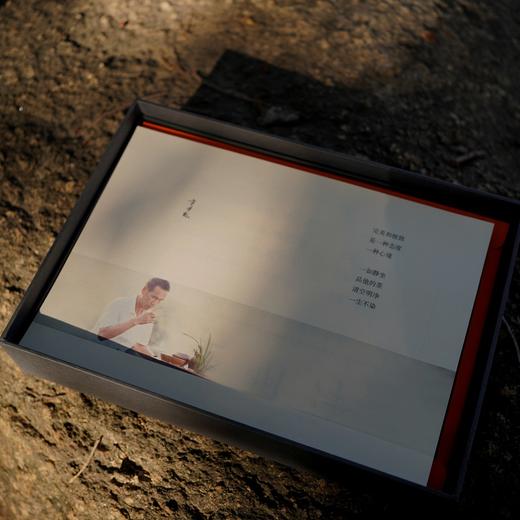 《四季白茶》方守龙太姥山白茶春节年礼盒定制4号案例 敬请预定 商品图1