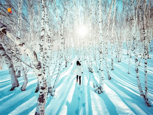 元旦3日【锡林郭勒·多伦湖冬捕】｜越野车深入草原无人区-元上都遗址-汇宗寺 商品图7