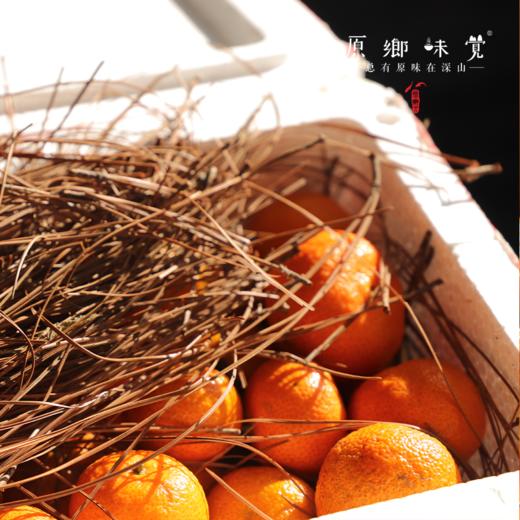 【8.5折】生态沃柑（基地直发—顺丰包邮） | 3斤/5斤/9斤，来自桂林阳朔，种植者：毛矿林，【合作生产，公平贸易】 商品图3