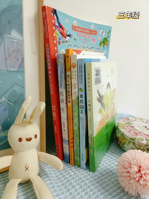 祖庆说|百班千人2025寒假书单1年级-6年级小学生寒假分年级阅读推荐书目【快抢！有它就够！寒假要到了，孩子阅读不能掉队！“百班千人”的书必须安排上！教育专家力荐！为孩子成长助力的阅读宝藏书单！】 商品图2