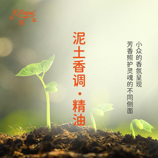 泥土香调·精油 香氛香调精油适用香水油护肤品护体香 大篷车精油 商品图0