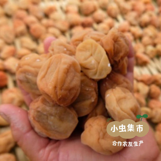 【积分享包邮】生态紫苏盐梅 250g/袋 | 合作农友生产，产自从化仙娘溪，生产者：原乡梅好合作社 ＆【公平贸易农人定价】 商品图11
