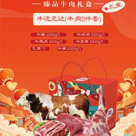 【凉山味道】牛运无边牛肉5件套臻品牛肉礼盒